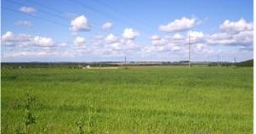 Grają w zielone. Robią konkurencję na szaro. Grają w zielone. Robią konkurencję na szaro.