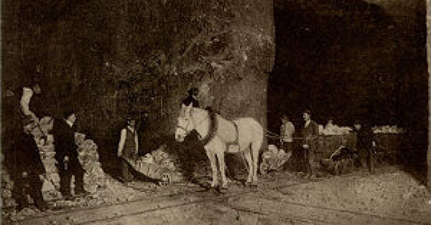 O koniach na wystawie i w wielickiej kopalni O koniach na wystawie i w wielickiej kopalni