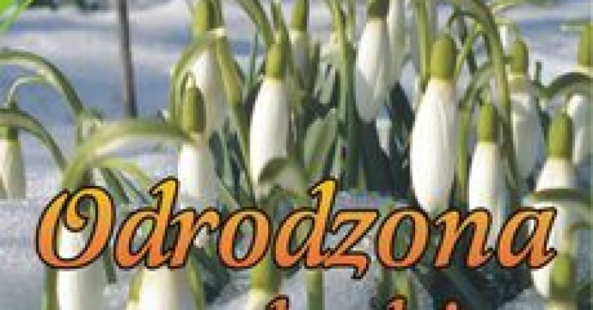 Odrodzona po zdradzie. Wystarczyła jedna noc… Odrodzona po zdradzie. Wystarczyła jedna noc…