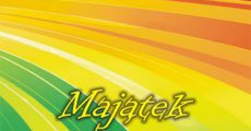 Majątek niezastąpiony Majątek niezastąpiony