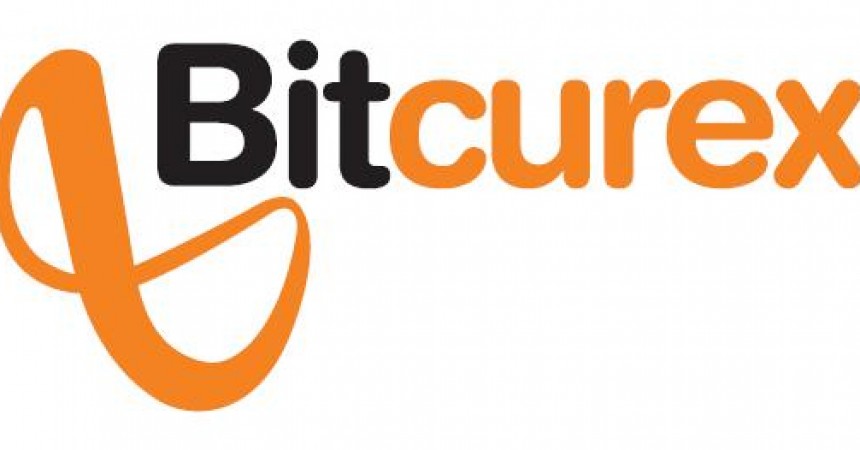 Gorączka bitcoina Gorączka bitcoina
