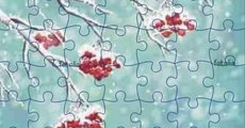 Puzzle – interesująca książka Tori Ritner Puzzle – interesująca książka Tori Ritner