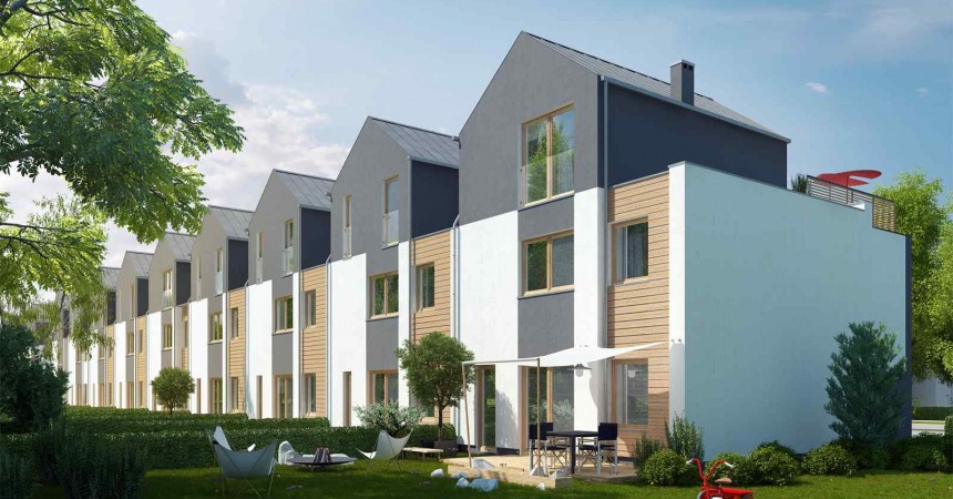 Nowe Koninko II pnie się w górę Nowe Koninko II pnie się w górę