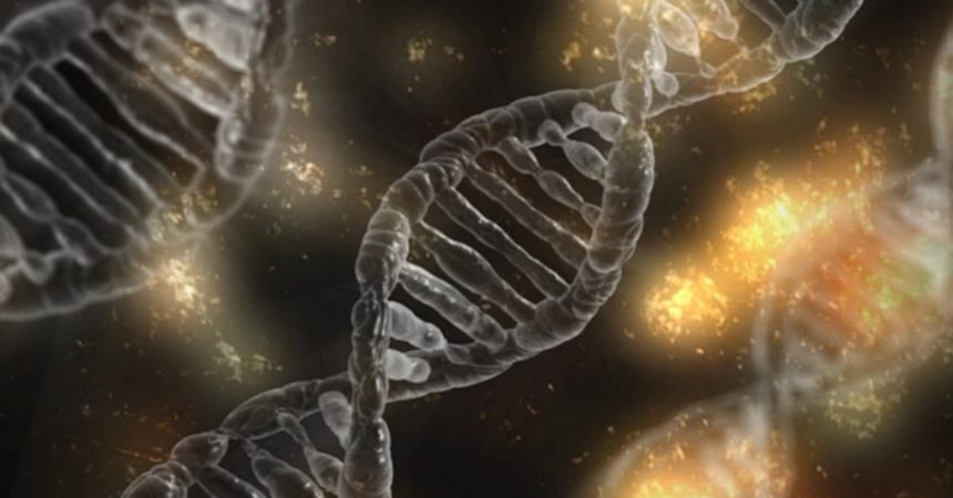Piosenki zapisane w DNA Piosenki zapisane w DNA