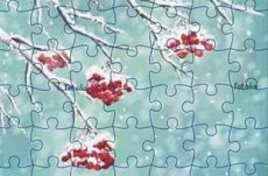 Puzzle – interesująca książka Tori Ritner