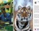 WWF wybrał Catvertisera
