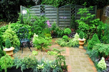 Krzewy ozdobne do ogrodu i na balkon