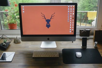 Jaki monitor używany wybrać?