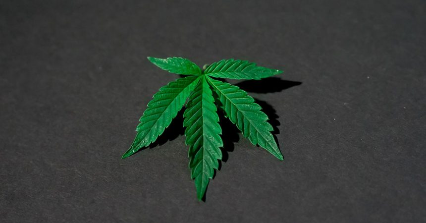 Wpływ CBD na stres Wpływ CBD na stres