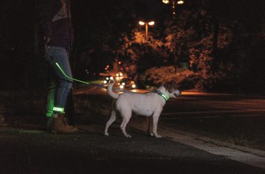 Bezpieczni w ciemności